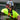 Malta Dynamics Harness X-Pad – Fall Protection