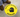 Floor Sign: Safety Glasses Required (Graphic) – Signs & Labels