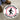 Floor Sign: Pedestrian Traffic Only (Graphic) – Signs & Labels