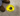 Floor Sign: Safety Glasses Required (Graphic) – Signs & Labels