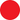 Floor Shape: 3-Inch Circle – Signs & Labels