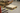 Floor Shape: 12-Inch Footprint – Signs & Labels