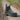Steel Blue Hobart Soft Toe Women's Boot – Footwear