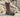 Steel Blue Heeler Steel Toe Men's Boot with Met Protection and Bump Cap – Footwear