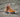 Steel Blue Hobart Steel Toe Women's Boot with Met Protection – Footwear