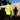 Radians RW07 Class 2 Black Bottom Rain Jacket – Apparel