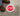 Safety Sign, Legend: STOP,MFS2217,MFS2208,