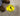 Plant & Facility, Legend: SAFETY SHOES REQUIRED (W/ GRAPHIC)