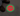 STOP (GLOW)