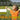 Write-A-Day Scoreboards: He Who Has Health Has Hope – Signs & Labels