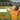 Write-A-Day Scoreboards: He Who Has Health Has Hope