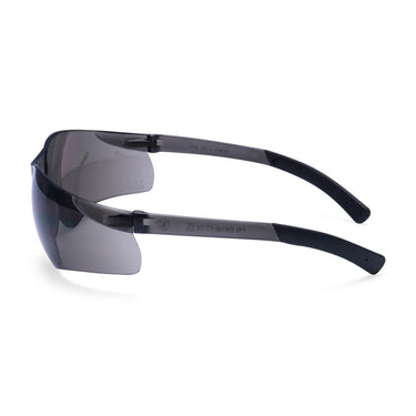 Portwest PW38 Pan View Safety Glasses